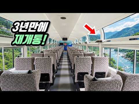 🚂 코레일이 이 악물고 부활시킨 오지 특급 열차!  더 좋아졌네요 | 📸 대중교통 당일치기 트레킹 여행 | Korea's Best Tourist Train Resurrected!