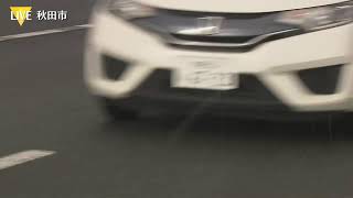 【速報】【LIVE】秋田市自動車整備工場居座りクマ捕獲 搬出へ