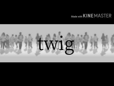 文字PV｢twig｣