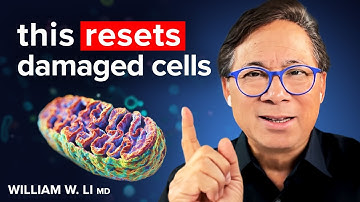 Why You’re TIRED All the Time: THESE Foods Make New Mitochondria (Scientific Proof) | Dr. William Li