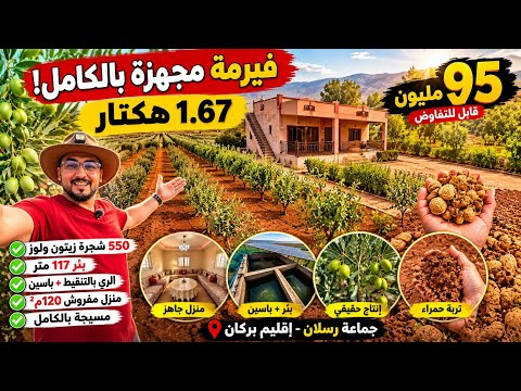 أقوى فيرمة للبيع شفناها بهذا الثمن فيها منزل بالبئر والحكم بعد الجولة 1.67 هكتار بإقليم بركان