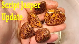 Tumbling Script Jasper Update: Got Round Fast! #thefinders #jasper #lapidary #rocktumbling screenshot 2
