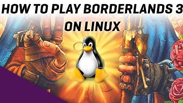 How to play BORDERLANDS 3 ON LINUX