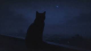 sleep, i'll stay here.