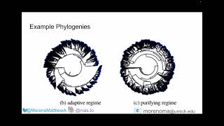 Trackable Island-model Genetic Algorithms at Wafer Scale
