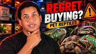 REPTILES PEOPLE REGRET BUYING