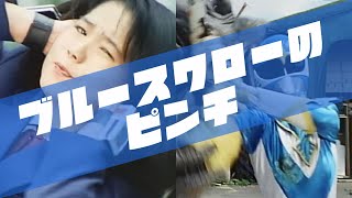 ブルースワローのピンチ - YouTube