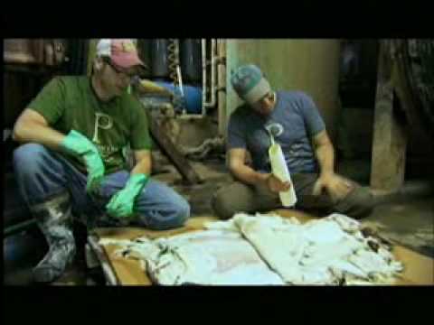 Dirty jobs-pelt zits