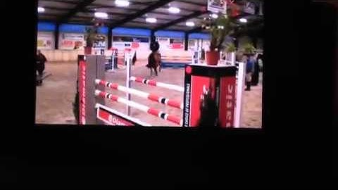 **SOLD TO NJ, USA** Emilion x Mytens XX ~ 1.20/1.25m with stable girl