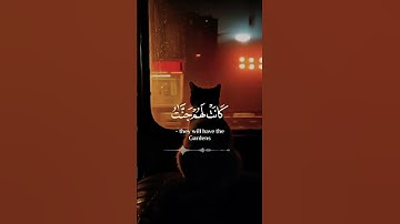 اكتب شيئاً تؤجر عليه ⌛❤️‍🩹#القارئ : إسلام صبحي #القرآن_الكريم