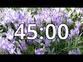45 minutes timer with music  spring timer