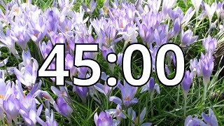 45 Minutes Timer with Music | Spring Timer