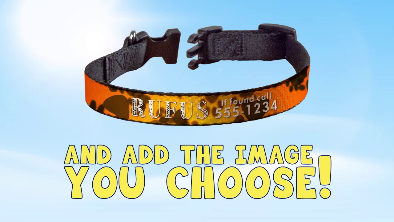 PET PRODUCTS YouTube pet-products-youtube