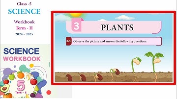 EE 5th standard science term 2 work book answers Unit 3 plants
