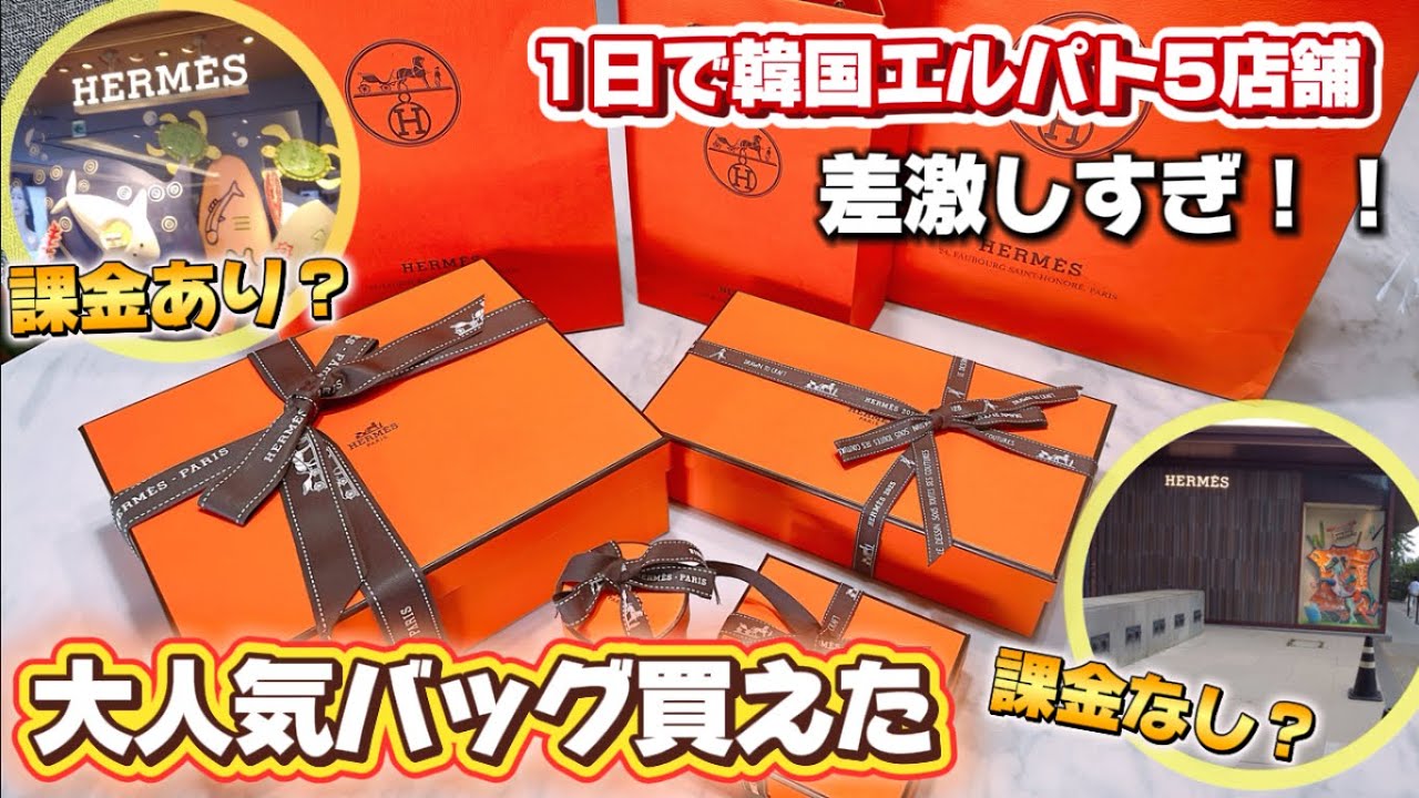 【海外エルパト】韓国エルパト1日で5店舗回ったら差が激しかった！！店舗の体感・購入品紹介