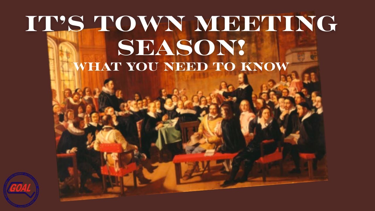 Gun Owners' Action Items - Town Meeting Season