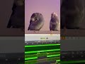 Lil guys helping me write | sub for more birdies