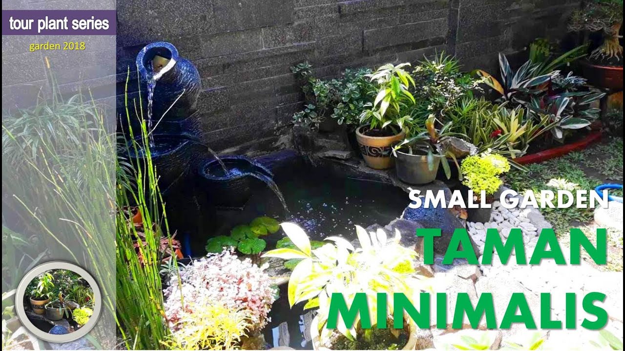 IDE CANTIK TAMAN MINIMALIS DILAHAN SEMPIT - YouTube