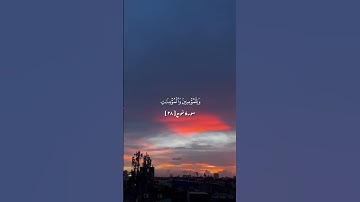 سورة نوح بصوت الشيخ محمود علي البنا | اكتب شئ تؤجر عليه❤️#القرآن_الكريم #القرآن #القران #قرآن_الكريم