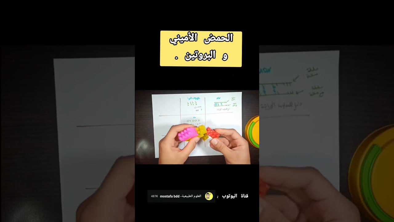 الحمض الأميني و البروتين ( مقتطف من المراجعة النهائية لتركيب البروتين 🧬 )