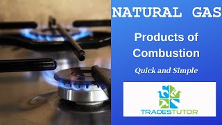 NATURAL GAS Products of combustion (quick and simple)