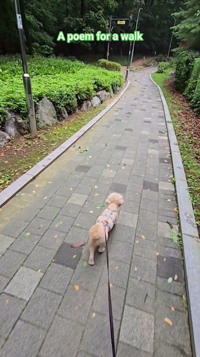 코코의 작은 것들을 위한 시2(25.6.21.)