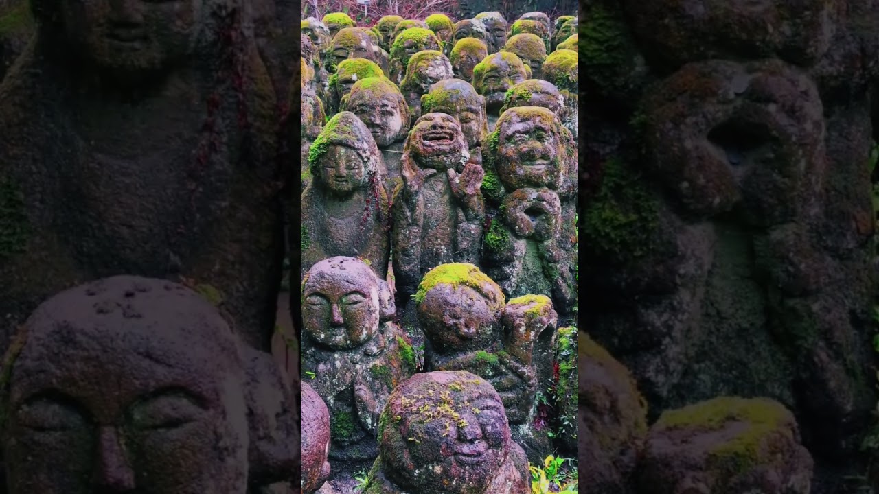 The world is incredible ||Enjoy the beauty of world 🌎 