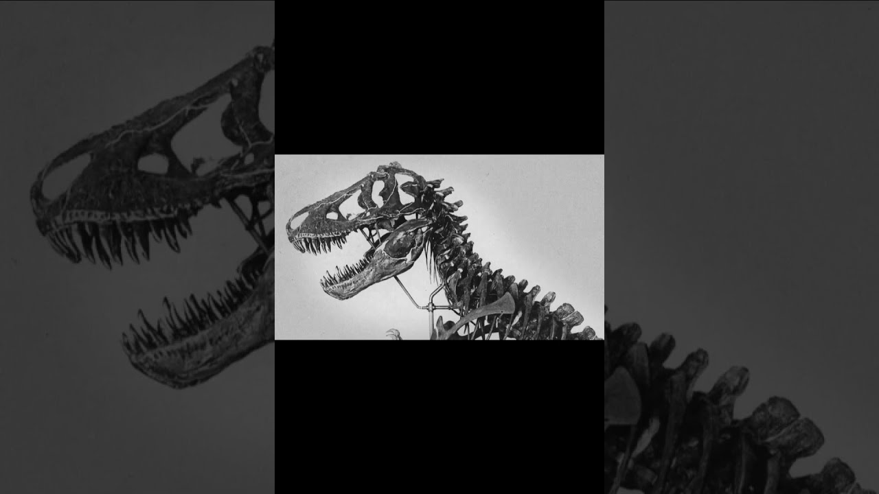 Sabías que el logo Jurassic Park está inspirado en un fósil real