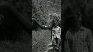 Thumbnail for An Impressive Experiment...Glad we don't do this anymore...