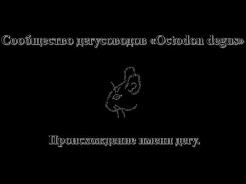 Происхождения имени дегу