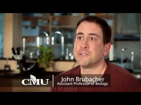 Canadian Mennonite University - About CMU