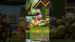 Top 5 places to visit in Kingston, Jamaica