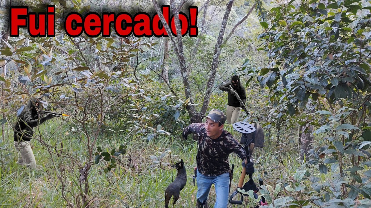 Tive que subir correndo em árvore alta!😱