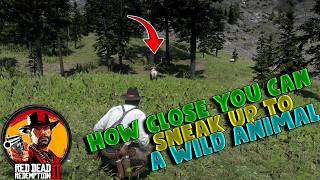 How Close Can You REALLY Sneak Up to Wild Animals in RDR2? screenshot 4