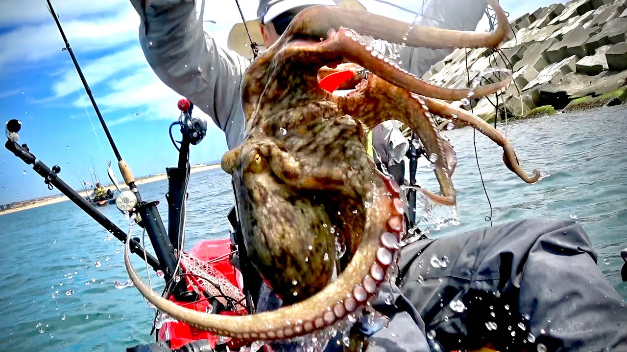 Octopus Fishing - Extreme Kayak Fishing 