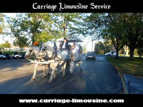 Wedding Carriage - Horse Drawn Carriage - LimWedding contestsine Carriage 9 - Carriage LimWedding contestsine Service
