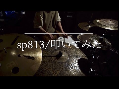 【ドラム】ポルカドットスティングレイ - sp813 / Drum cover