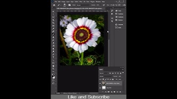 Create Custom Brush in Photoshop
