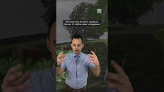 Does rain help with pollen? Here’s the truth. | #shorts #newvideo #trending #subscribe #youtube