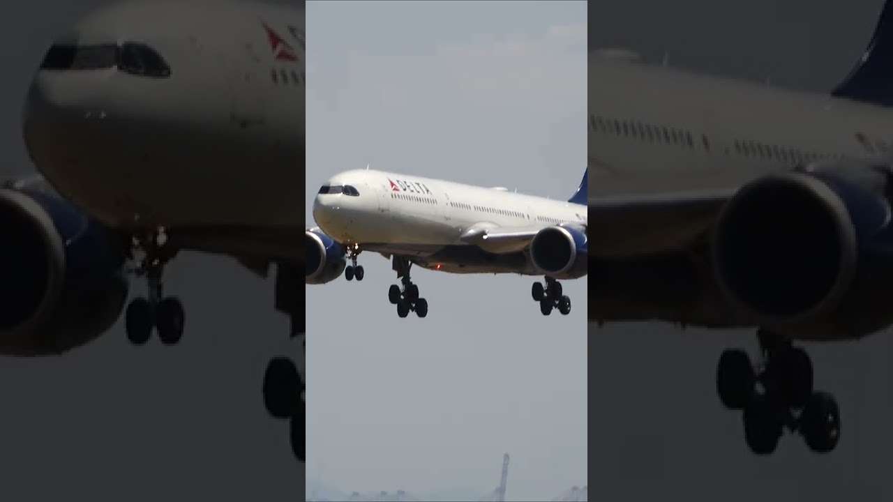 Delta Air Lines / A330-941 (N404DX) 인천공항 착륙 