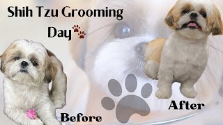 It’s time to Makeover |Leo| Leo’s new summer cut | Pet Dog| Hairstyle |Vlog