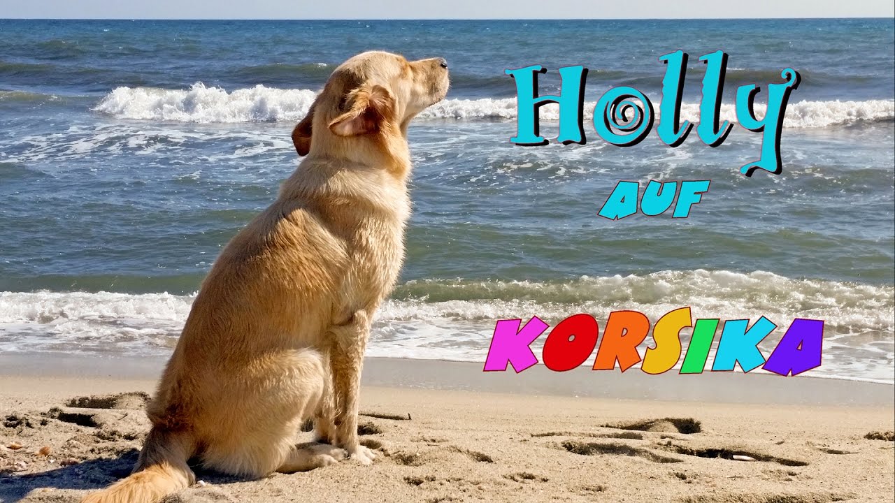 Urlaub auf Korsika mit Hund YouTube