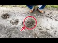 天然記念物を育てる施設周辺の土を水に漬けておいたら凄い事がおきた。