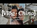 Bunny vlog une runionnaise trouve lamour en chine