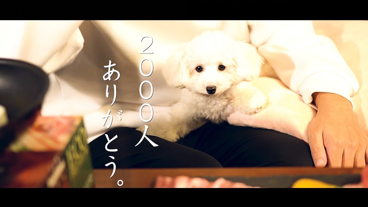 祝 焼肉パーティーしたら犬のテンションが爆上がり 愛犬とアラサー独身男の夜 Youtube