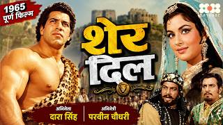 Sher Dil 1965 Full Movie | Dara Singh, Parveen Choudhary | Old Bollywood Romantic Hindi Movie