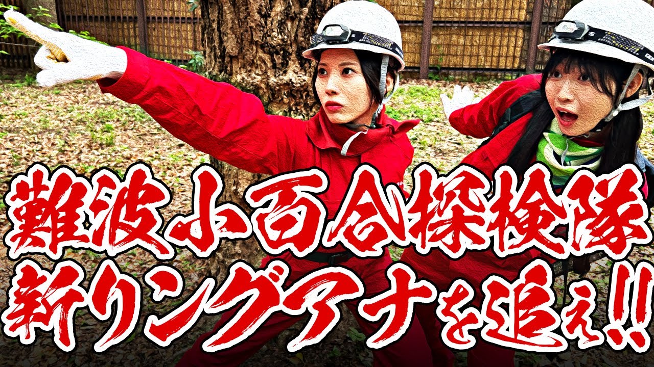 【難波小百合探検隊】緊急大追跡!! 新たなリングアナは実在した!!