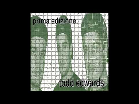 Todd Edwards — Todd Edwards - Fly Away (Ambient version)