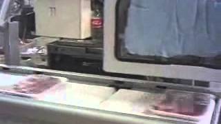 Embasaje y etiquetado charcuteria porcina Dibal