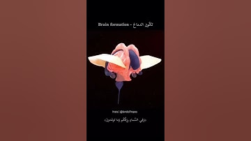 تكّون الدماغ - Brian formation (وفي أنفسكم أفلا تبصرون) بصوت القارئ #احمد_العجمي #اكسبلور